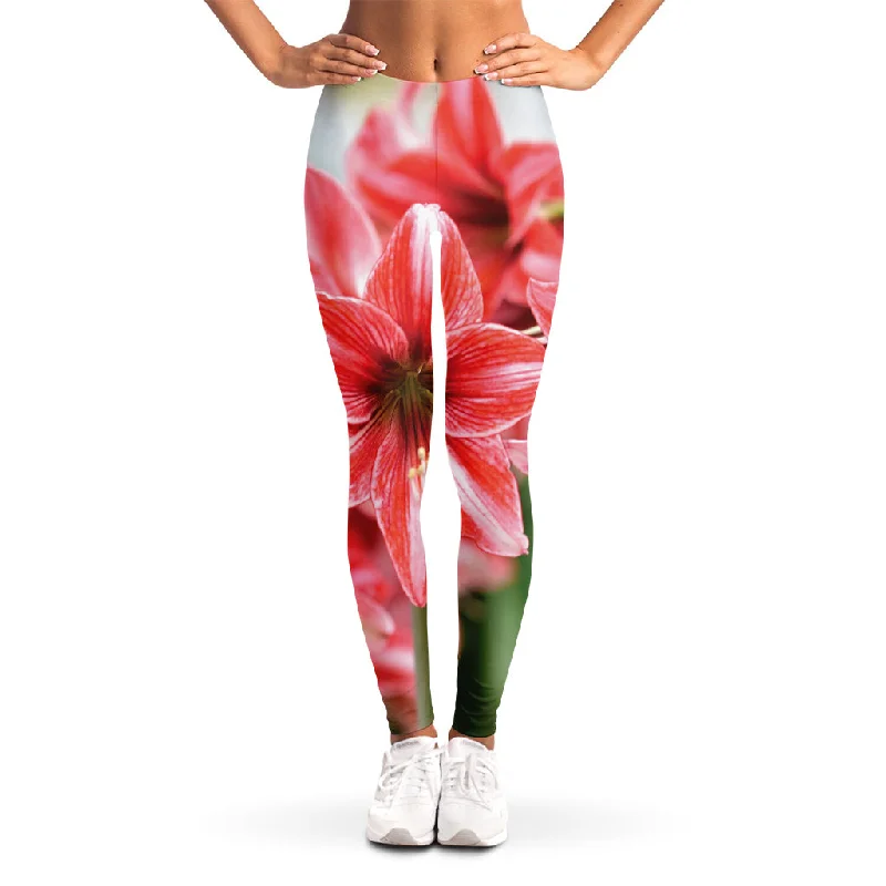 Amaryllis Flower Print Women's Leggings